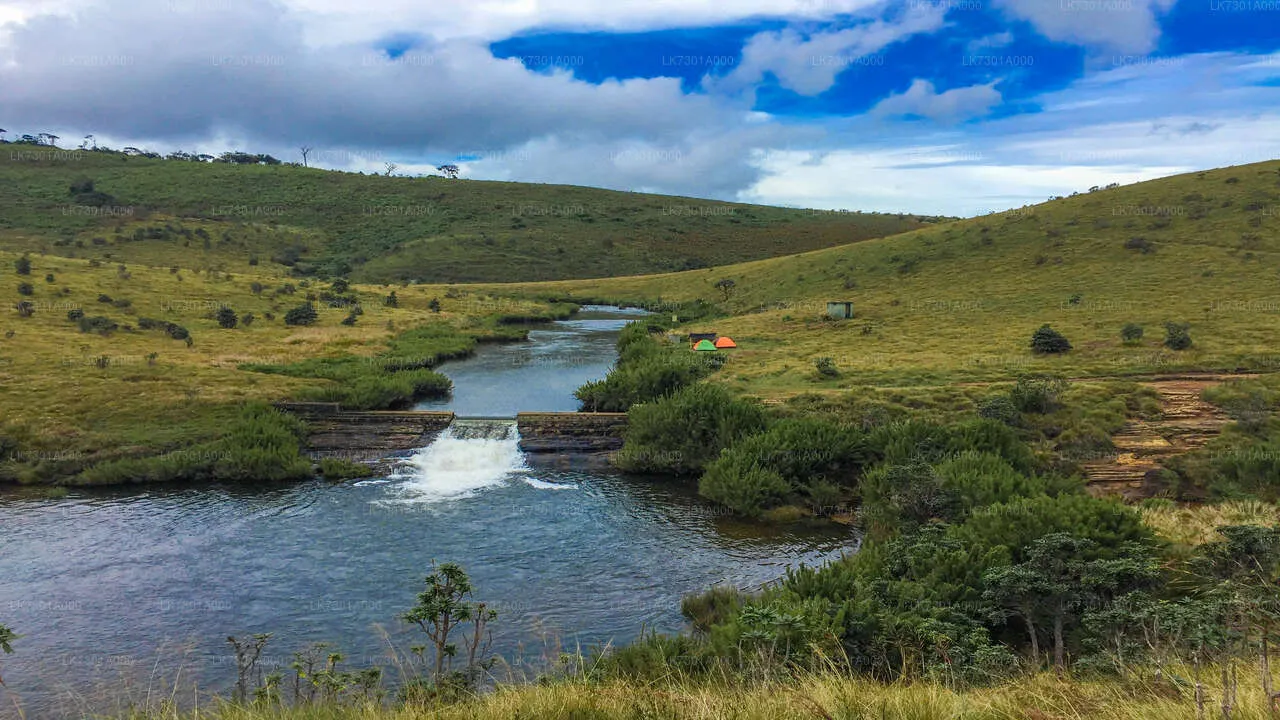 Horton Plains Morning